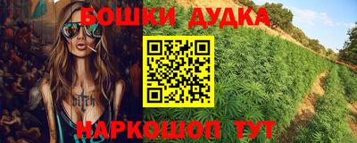 гашик Кулебаки
