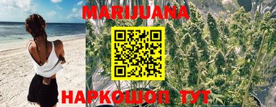 гашик Кулебаки