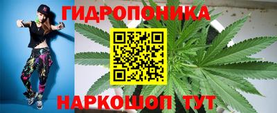 шишки Кунгур