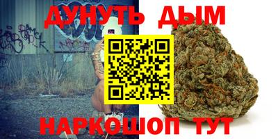 гашик Кулебаки