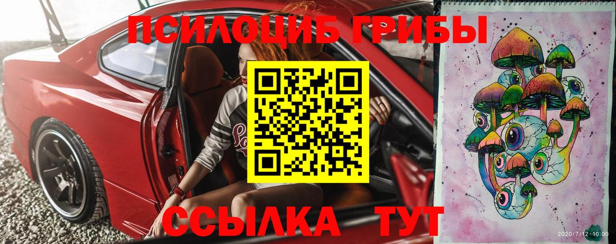 цена наркотик  Вход с VPN  Псилоцибиновые грибы Magic Shrooms  Орехово-Зуево  Псилоцибиновые грибы GOLDEN TEACHER 